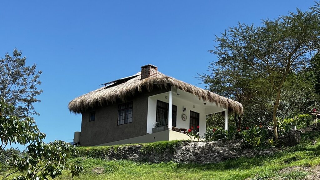 tulusia-lakeview-flamingo-house-2
