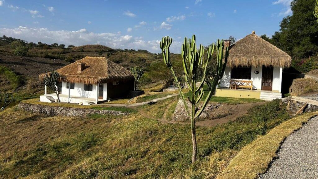 tulusia-lakeview-tembo-house-2